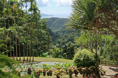 Jardin de Balata Martinique