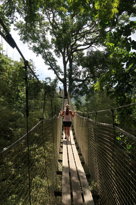 Jardin de Balata Martinique