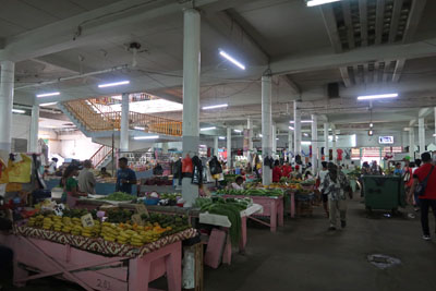 Eerste dag in Paramaribo