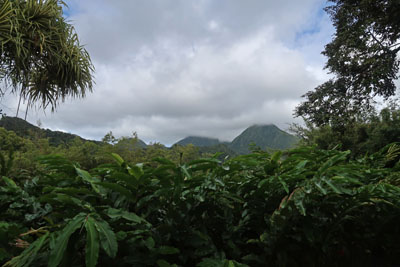 Vulkaan Martinique