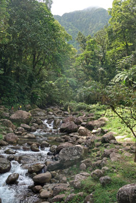 Martinique