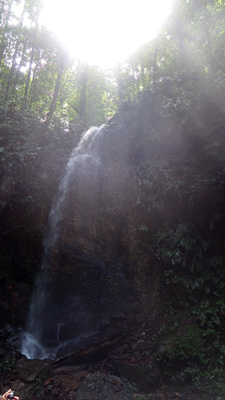 Waterval Brownsberg Suriname