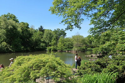 Central Park New York