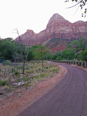 Zion National Park